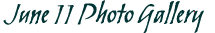 June 11 Photo Gallery
